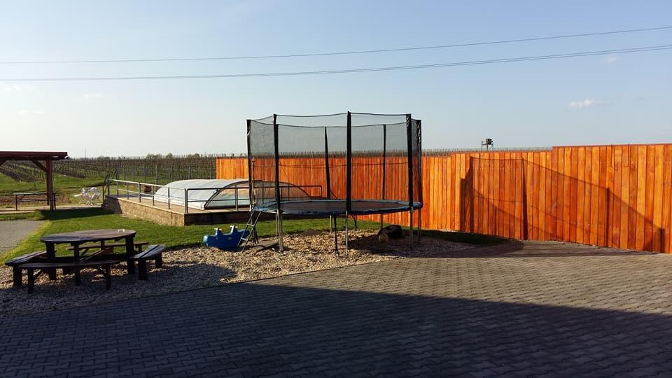 Penzion Kosik Tvrdonice Buitenkant foto